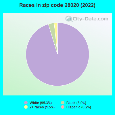 Races in zip code 28020 (2022)