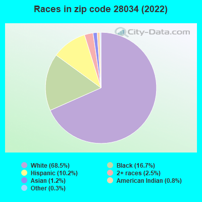 Races in zip code 28034 (2022)