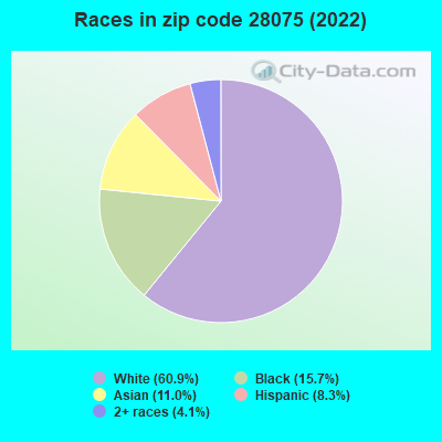 Races in zip code 28075 (2022)