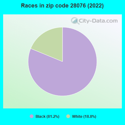 Races in zip code 28076 (2022)