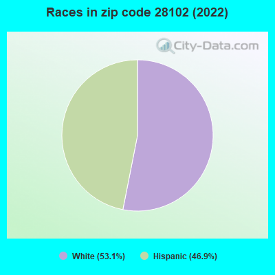 Races in zip code 28102 (2022)