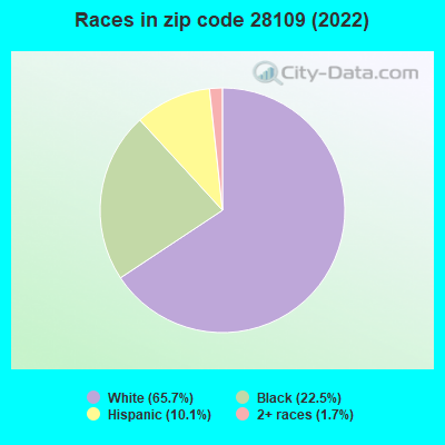 Races in zip code 28109 (2022)