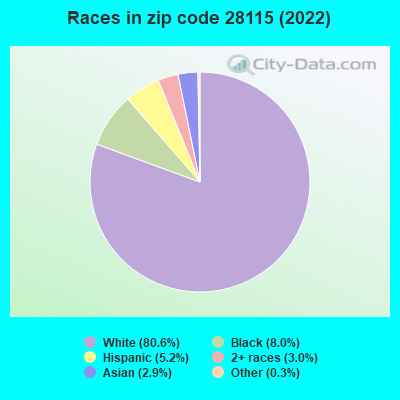 Races in zip code 28115 (2022)