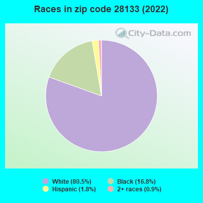 Races in zip code 28133 (2022)