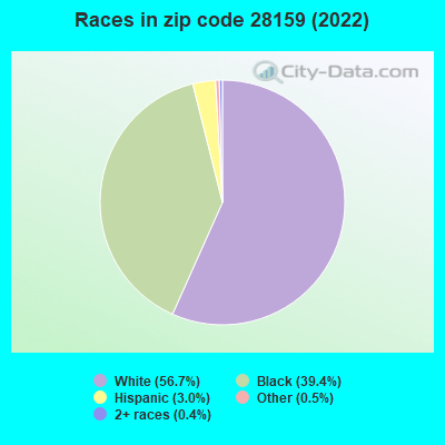 Races in zip code 28159 (2022)