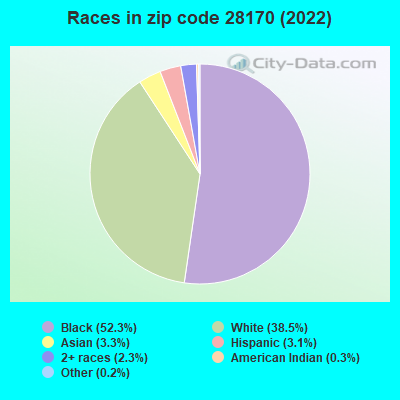 Races in zip code 28170 (2022)