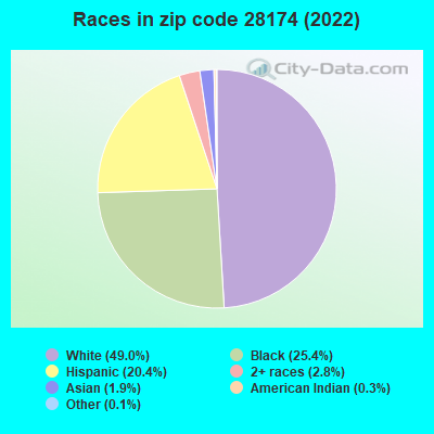 Races in zip code 28174 (2022)
