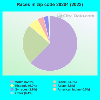 Races in zip code 28204 (2022)