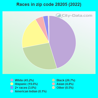 Races in zip code 28205 (2022)