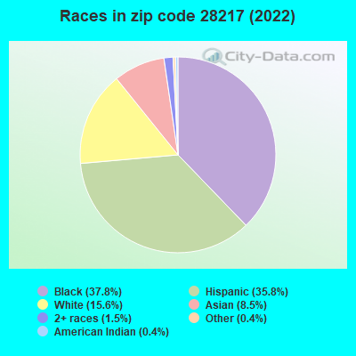Races in zip code 28217 (2022)
