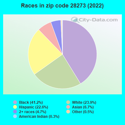 Races in zip code 28273 (2022)