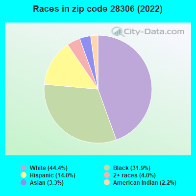 Races in zip code 28306 (2022)