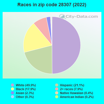 Races in zip code 28307 (2022)