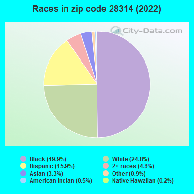 Races in zip code 28314 (2022)