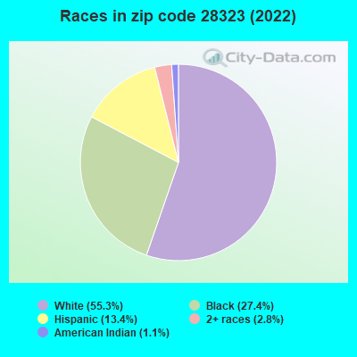 Races in zip code 28323 (2022)