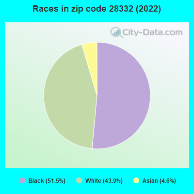 Races in zip code 28332 (2022)