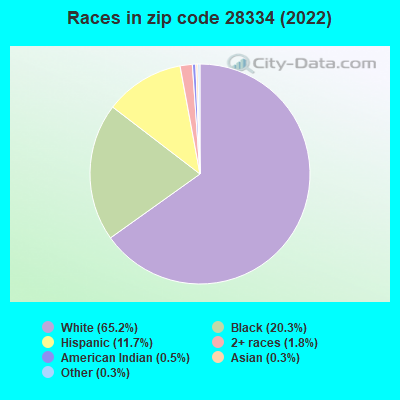 Races in zip code 28334 (2022)