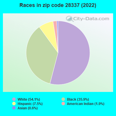 Races in zip code 28337 (2022)