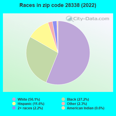 Races in zip code 28338 (2022)