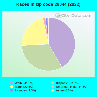 Races in zip code 28344 (2022)