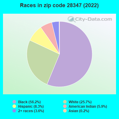 Races in zip code 28347 (2022)