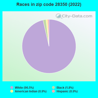 Races in zip code 28350 (2022)