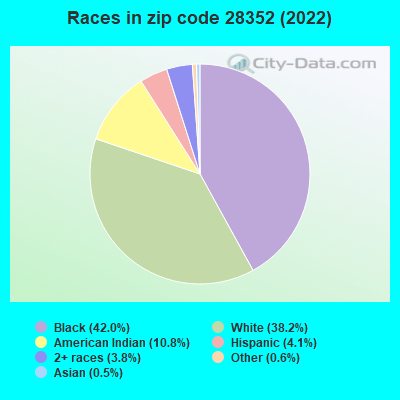 Races in zip code 28352 (2022)