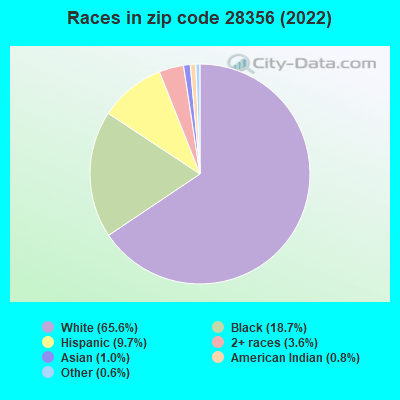Races in zip code 28356 (2022)