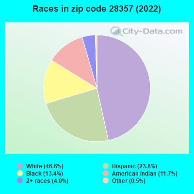 Races in zip code 28357 (2022)