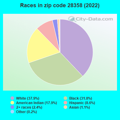 Races in zip code 28358 (2022)