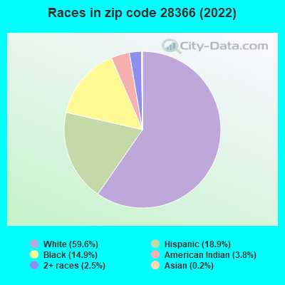 Races in zip code 28366 (2022)