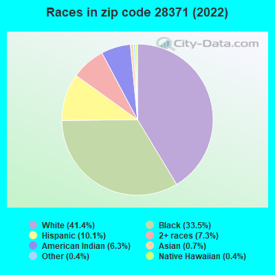 Races in zip code 28371 (2022)