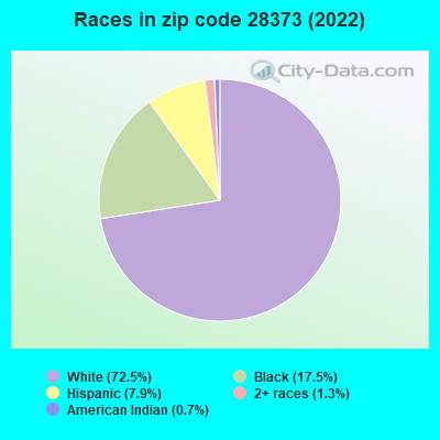 Races in zip code 28373 (2022)