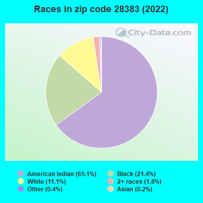 Races in zip code 28383 (2022)