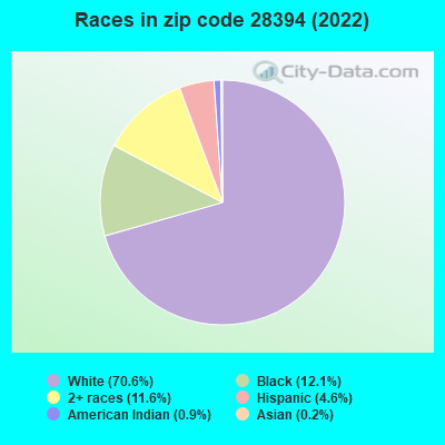 Races in zip code 28394 (2022)