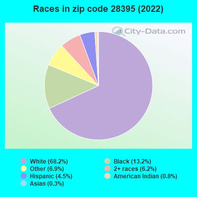 Races in zip code 28395 (2022)
