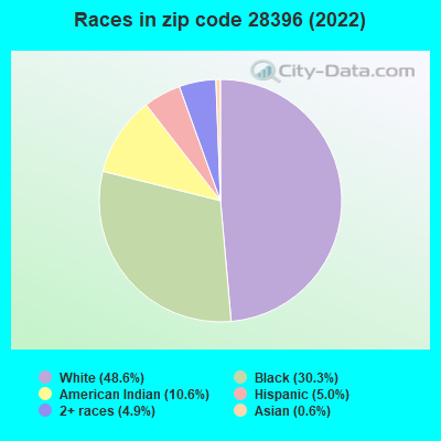 Races in zip code 28396 (2022)