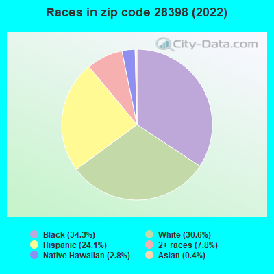 Races in zip code 28398 (2022)