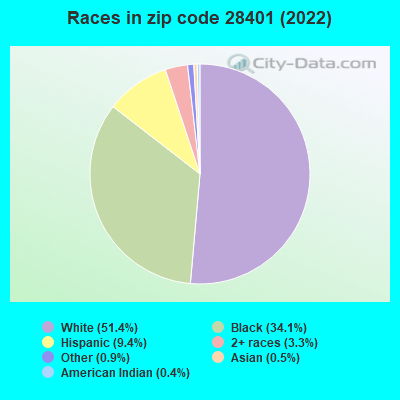 Races in zip code 28401 (2022)