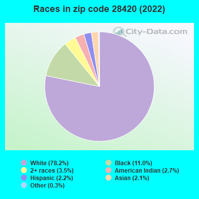 Races in zip code 28420 (2022)