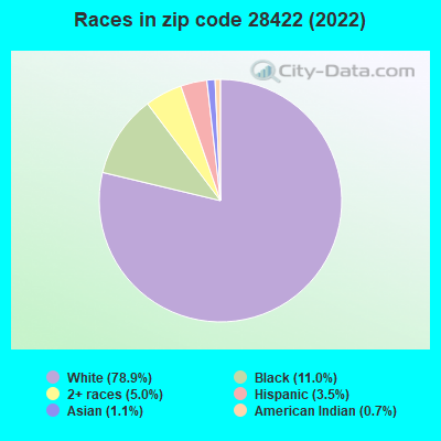 Races in zip code 28422 (2022)