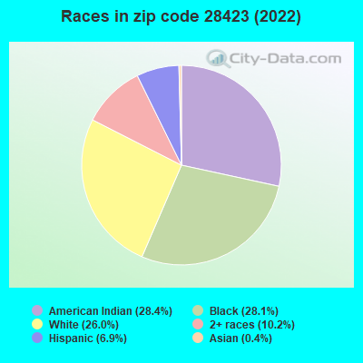 Races in zip code 28423 (2022)