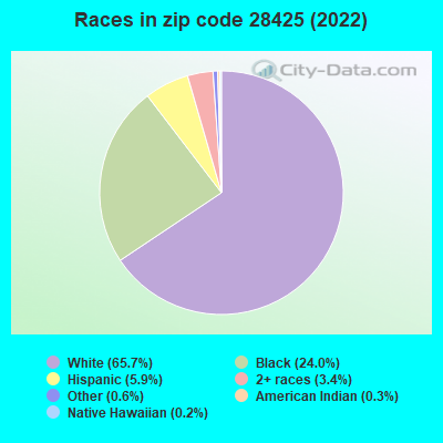 Races in zip code 28425 (2022)