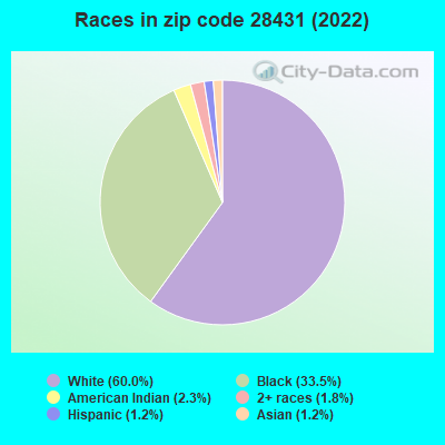 Races in zip code 28431 (2022)