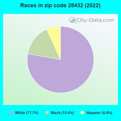 Races in zip code 28432 (2022)