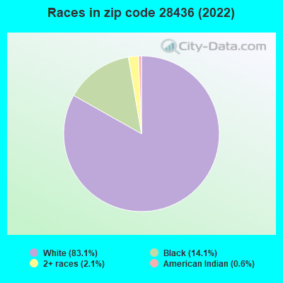 Races in zip code 28436 (2022)