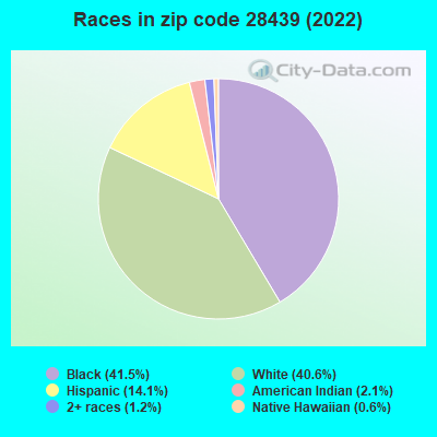 Races in zip code 28439 (2022)