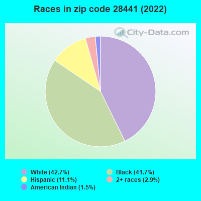 Races in zip code 28441 (2022)