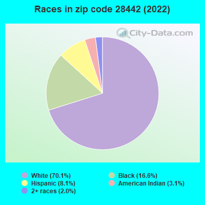 Races in zip code 28442 (2022)