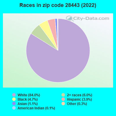 Races in zip code 28443 (2022)